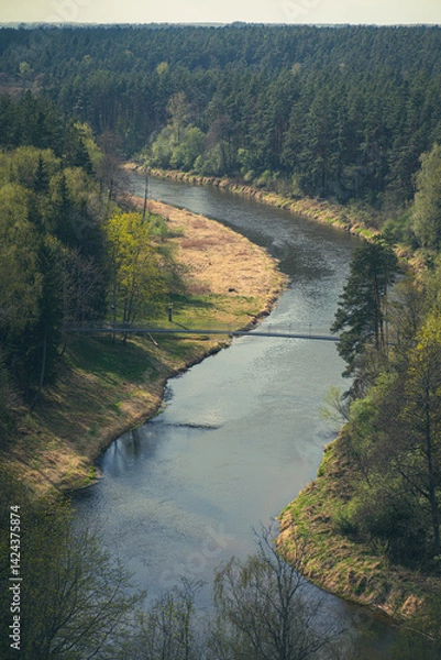 Fototapeta A scenic view of a winding river surrounded by lush green forest and grassy riverbanks, captured from an elevated vantage point on a sunny day.
