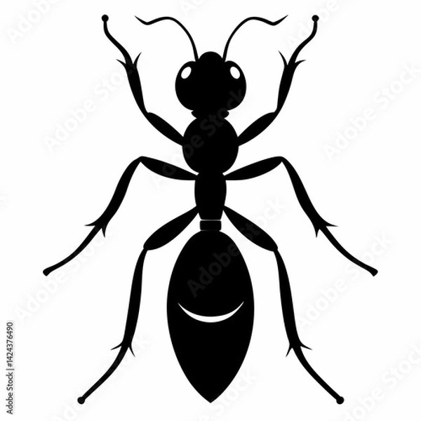 Fototapeta vector illustration of a spider