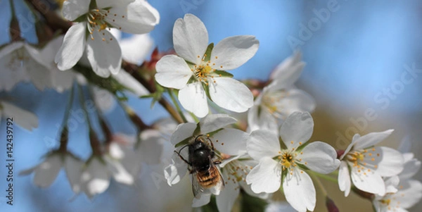 Obraz perfect spring weather