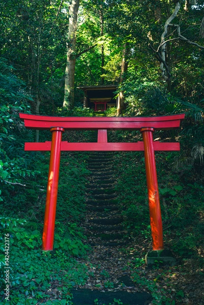 Obraz  緑に囲まれた下山口稲荷神社の参道