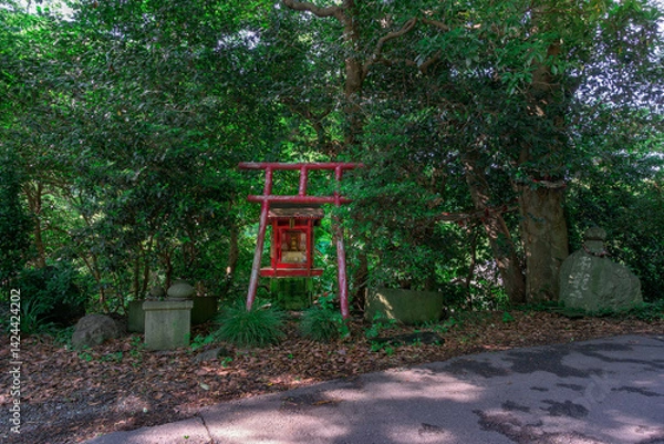 Fototapeta  葉山町の森に佇む穴守稲荷神社