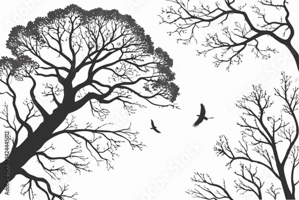 Fototapeta 33 Trees from above, aerial view, top-down perspective, black and white illustration, circular tree canopies, branching patterns, organic shapes, symmetrical designs, nature patterns, botanical drawin