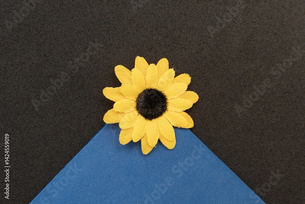 Obraz Top view of a decorative sunflower	