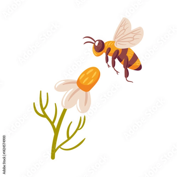 Fototapeta A vector illustration depicting a bee in mid-flight, gracefully approaching a vibrant daisy. scene captures the essence of spring, highlighting the bees vital role in pollination and natures beauty.