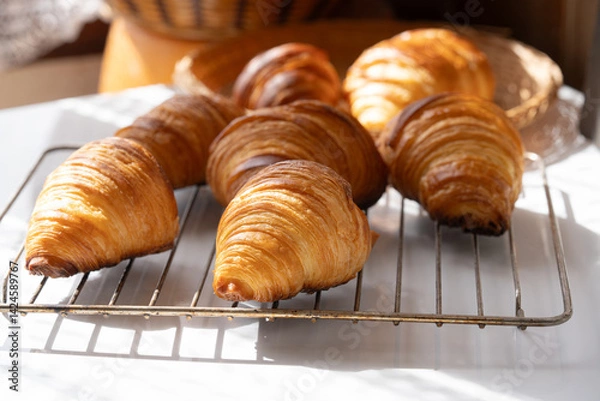 Fototapeta A cooked golden color of traditional French croissants in a baking tray. It's viennoiserie of Austrian origin. Made with a yeast leavened dough that has been laminated with butter in multiple layers.