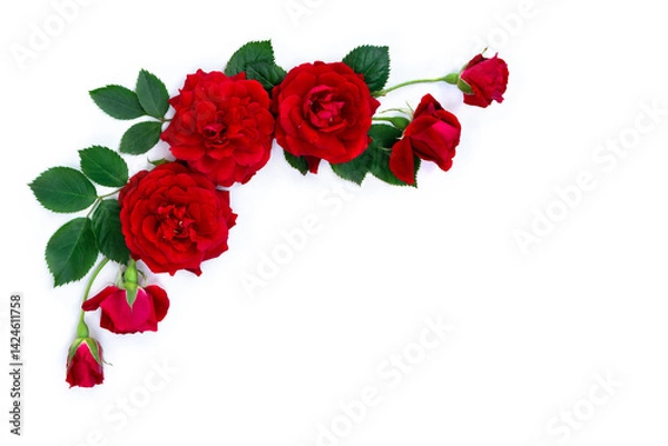 Fototapeta Red flowers roses on a white background with space for text. Top view, flat lay
