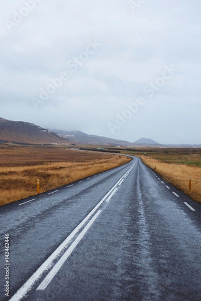 Obraz Lonely Road in Field
