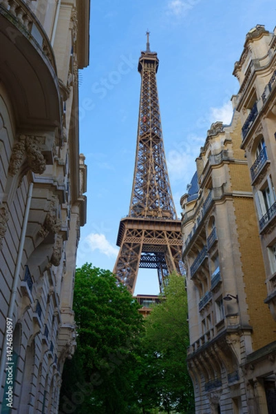 Fototapeta The famous Eiffel tower is the most popular travel place and global cultural icon of the France and the world.