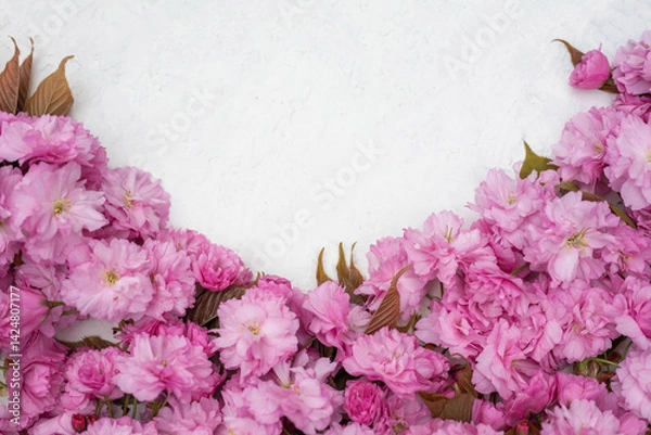 Fototapeta Pink cherry blossom flowers on white textured background. Floral spring composition with copy space. Romantic nature flat lay.