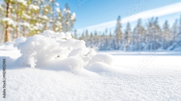 Fototapeta Snowy winter scene in a forest.  A close-up of snow-covered vegetation nestled within a pristine blanket of snow, with a backdrop of tall evergreen trees