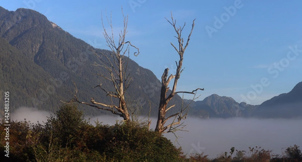 Obraz Dry tree with mountains in background