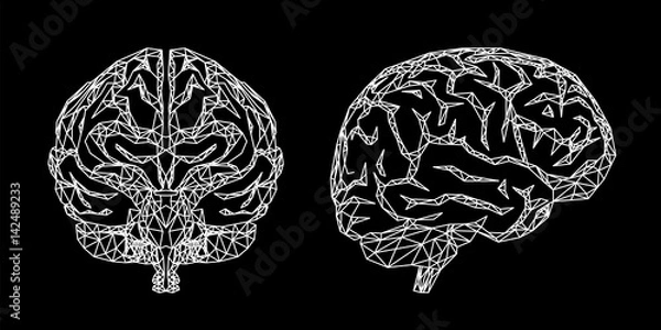Obraz Cervello umano, illustrazione vettoriale sullo sfondo nero, vista frontale e laterale