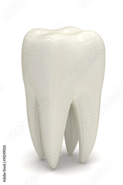 Obraz White tooth