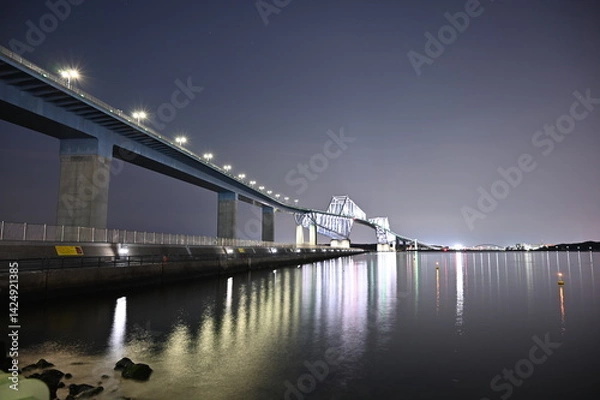 Obraz Night view of Tokyo Gate Bridge