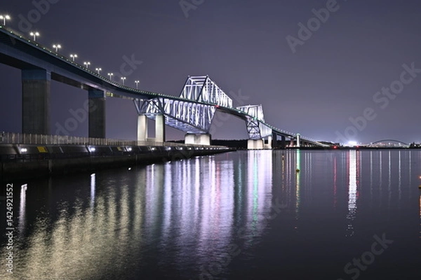Obraz Night view of Tokyo Gate Bridge