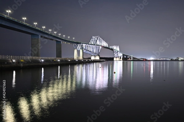 Obraz Night view of Tokyo Gate Bridge