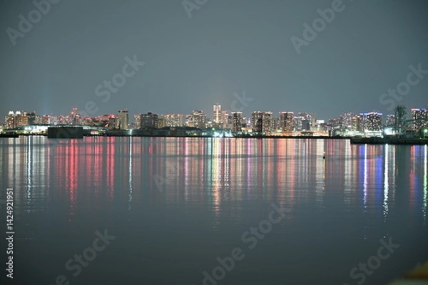 Obraz Night view of Tokyo Gate Bridge