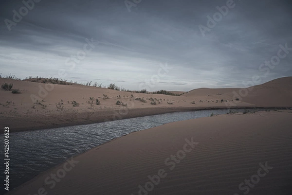 Fototapeta Desert vastness next to lake in Wuhai, Inner Mongolia, China. Dramatic sky with copy space for text