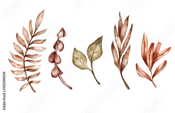 Fototapeta Set of watercolor illustrations. Hand-drawn different stylized plants, leaves, branches in monochromatic color. Brown shades, boho style. Abstract plants.