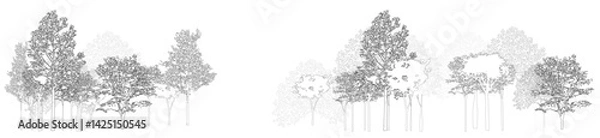 Obraz Architectural Drawings, Minimal style cad tree line drawing, Side view, set of section wetland forest outline for landscape design drawing. Vector illustration