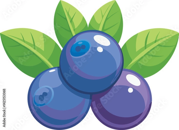 Obraz A vibrant vector art illustration showcasing beautiful huckleberry fruit, highlighting its rich color and natural, appealing design.