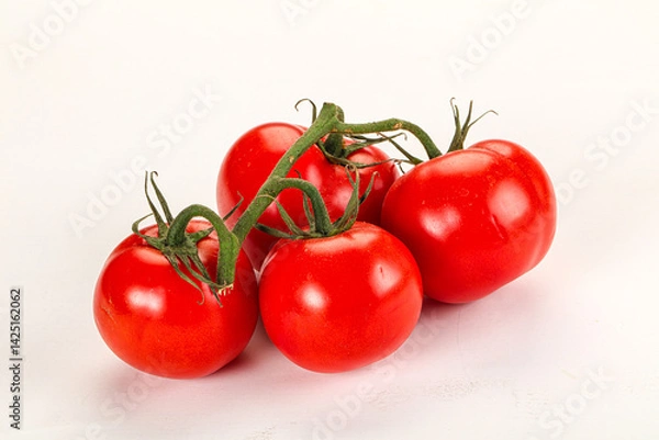 Fototapeta Ripe fresh tomato on the branch