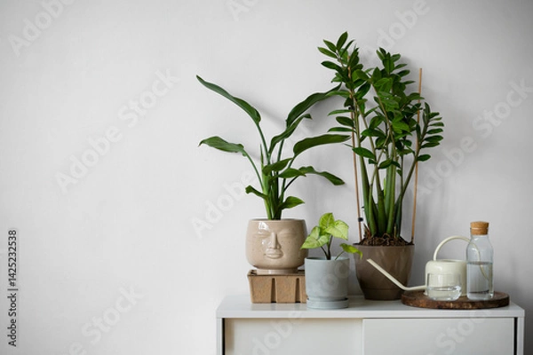 Obraz plant in a vase