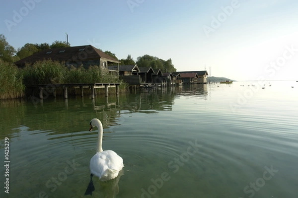 Obraz starnberger see, percha