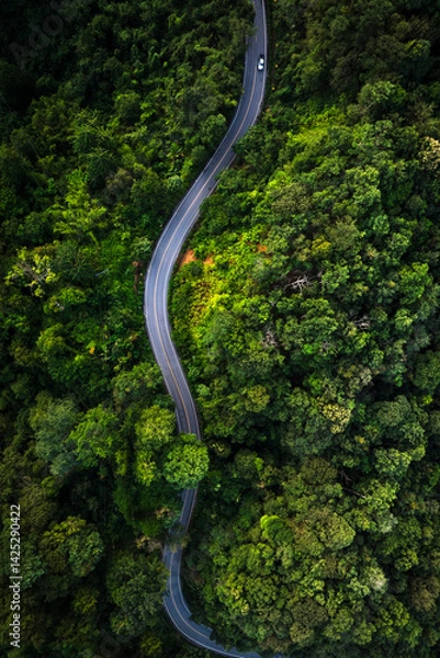 Obraz Aerial view of a road in the middle of the forest , road curve construction up to mountain