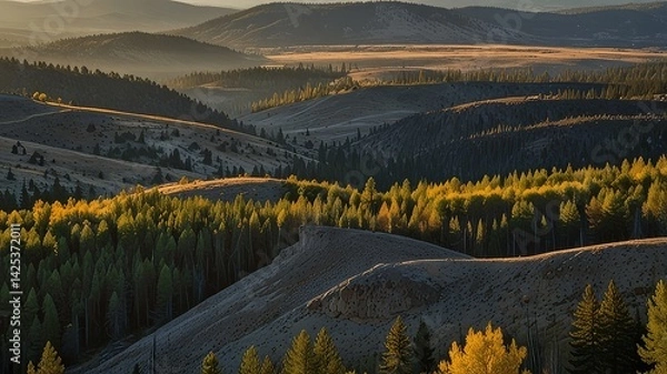 Fototapeta An overlooking landscape of Gates of the Mountain in Helena National Forest, Montana