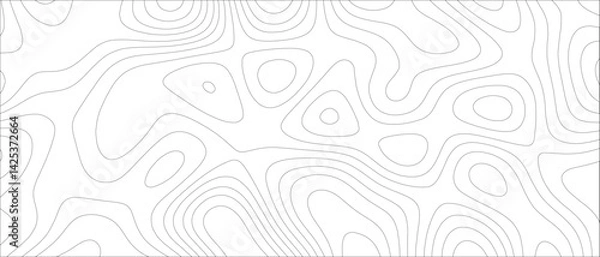 Fototapeta Abstract Topographic map background geographic line. Minimalist, monochrome topographic contour map design with thin, organic, flowing elevation lines. Data visualization, and geographic design