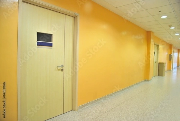Obraz Closed doors along a corridor