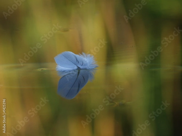 Obraz treibende feder