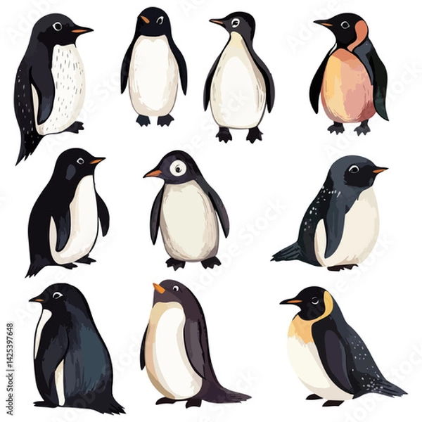 Fototapeta penguin, animal, vector, transparent background, various