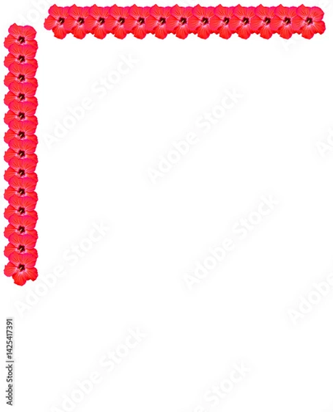 Fototapeta Isolated Red Hibiscus Flower on Transparent Background
Hibiscus, jaba flower Red Hibiscus Flower PNG, Isolated Bloom on Transparent Background, Tropical Floral