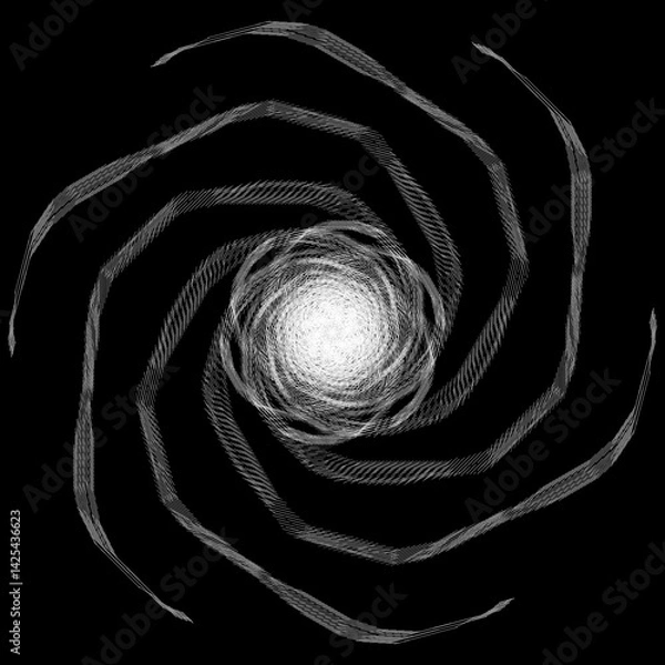 Obraz spider on a white background