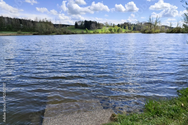 Obraz lake in the forest