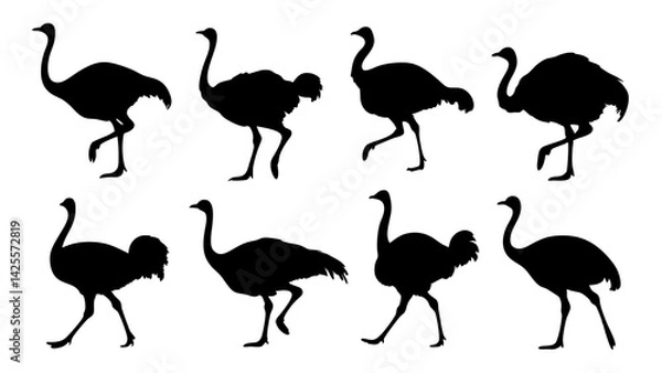 Fototapeta set of ostrich silhouette vector on white background
