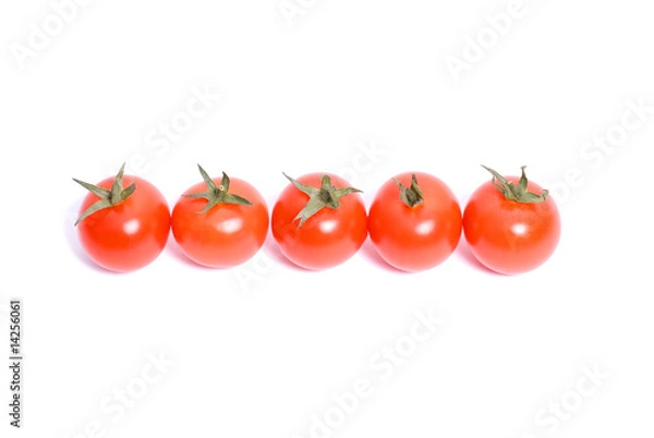 Obraz pomidory