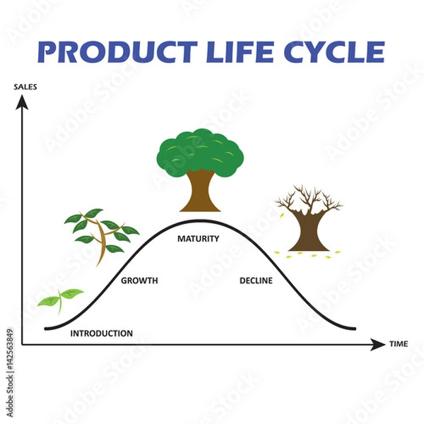 Obraz Product Life Cycle on White Background