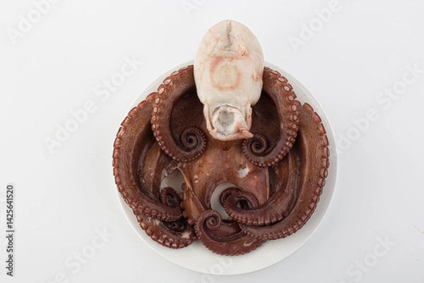 Obraz boiled octopus on a plate.