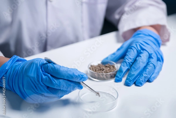 Fototapeta In the laboratory, the scientist conducted an experiment, testing soil with advanced technology; research in science, biology, and chemistry drives modern agriculture forward.