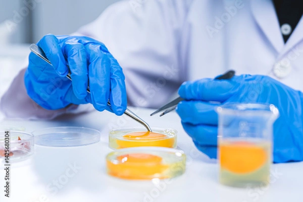 Fototapeta Researcher led an experiment on the egg’s yolk, blending biology, food science, and biotechnology to unlock new nutrition insights for health in the laboratory