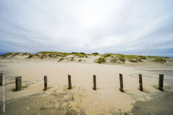 Fototapeta Beach on the Danish island of Rømø. Coastal nature in Denmark. Minimalist landscape on the North Sea.

