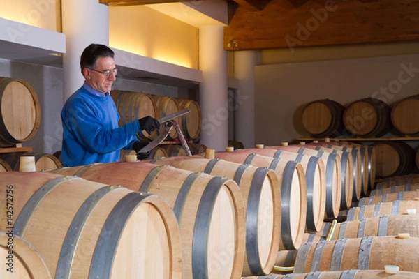 Obraz wine cellar for storing aged wine and operation to keep it