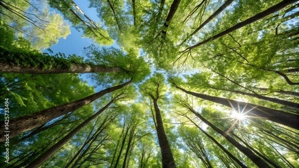 Fototapeta Reaching for the sun, a vibrant forest canopy thrives under a brilliant blue sky, showcasing nature's breathtaking beauty with a low angle perspective.