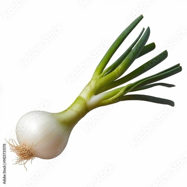 Obraz The image depicts a realistic fresh spring onion with a white bulb and long green stalks, surrounded by a white background, high detail, and natural lighting.