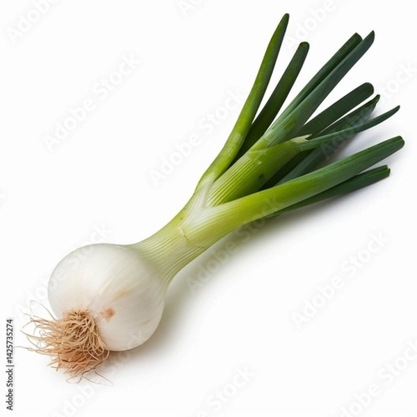 Obraz The image depicts a realistic fresh spring onion with a white bulb and long green stalks, surrounded by a white background, high detail, and natural lighting.