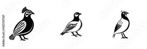 Obraz Set of black icons representing different bird species in a minimalist design for artistic and decorative purposes