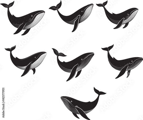 Fototapeta vector set of whale